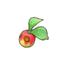 Pok&eacute;mon Pokopia - Baie ab&icirc;m&eacute;e