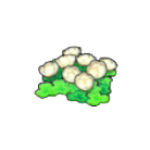 Pok&eacute;mon Pokopia - Fleurs de Flot&icirc;les
