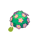 Pok&eacute;mon Pokopia - Graine de buisson charmant