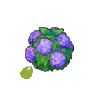 Pok&eacute;mon Pokopia - Graine de buisson humide