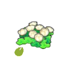 Pok&eacute;mon Pokopia - Graine de fleurs de Flot&icirc;les