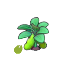 Pok&eacute;mon Pokopia - Graine de haricot