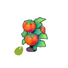 Pok&eacute;mon Pokopia - Graine de tomate