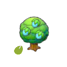 Pok&eacute;mon Pokopia - Graine Fraive