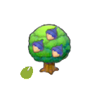 Pok&eacute;mon Pokopia - Graine Maron