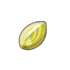 Pok&eacute;mon Pokopia - Graine Miracle