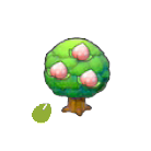 Pok&eacute;mon Pokopia - Graine P&ecirc;cha