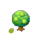 Pok&eacute;mon Pokopia - Graine Prine