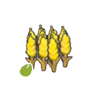 Pok&eacute;mon Pokopia - Graines de bl&eacute;