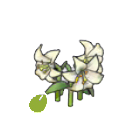 Pok&eacute;mon Pokopia - Graines de fleurs &eacute;l&eacute;gantes