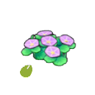 Pok&eacute;mon Pokopia - Graines de fleurs maritimes