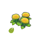 Pok&eacute;mon Pokopia - Graines de fleurs paisibles