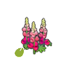 Pok&eacute;mon Pokopia - Graines de fleurs r&eacute;sistantes