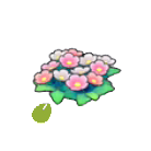 Pok&eacute;mon Pokopia - Graines de fleurs sauvages