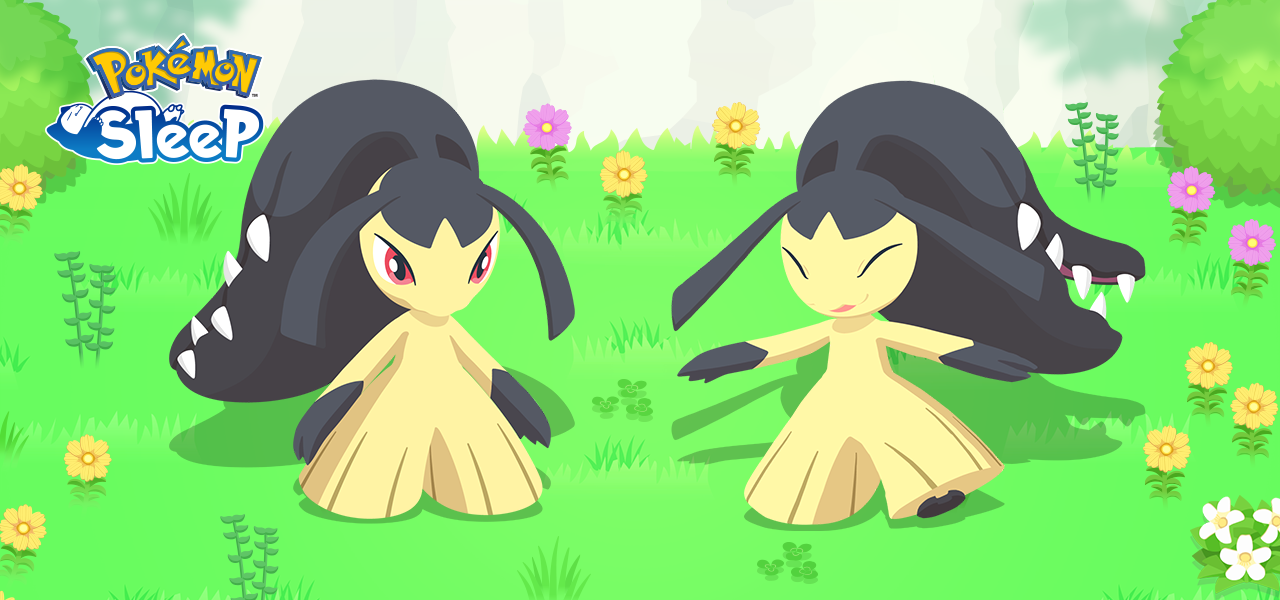 pokemon sleep event Semaine culinaire XXL 1 Mysdibule