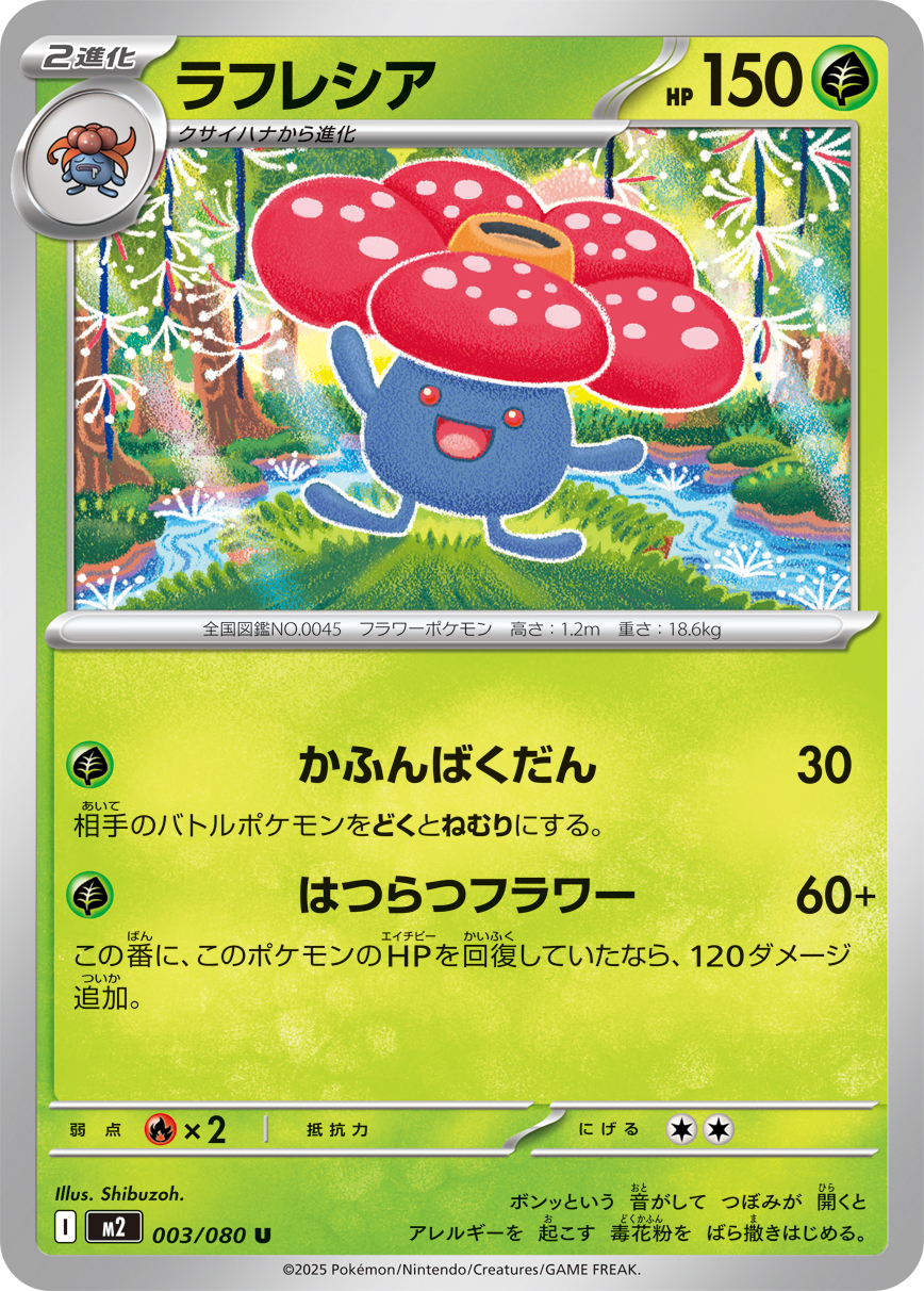 M2 - Rafflesia