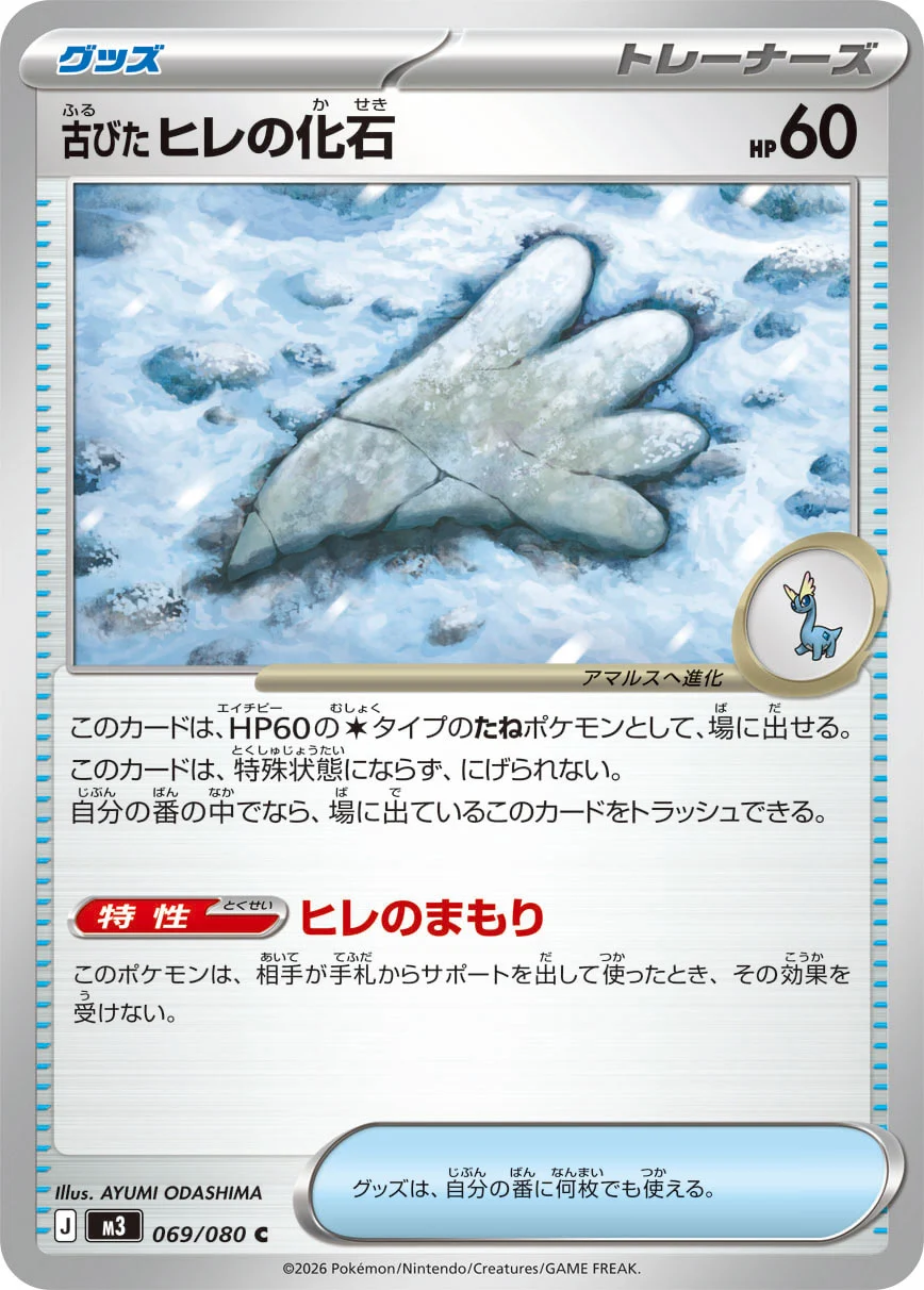 M3 - Fossile Nageoire Ancien