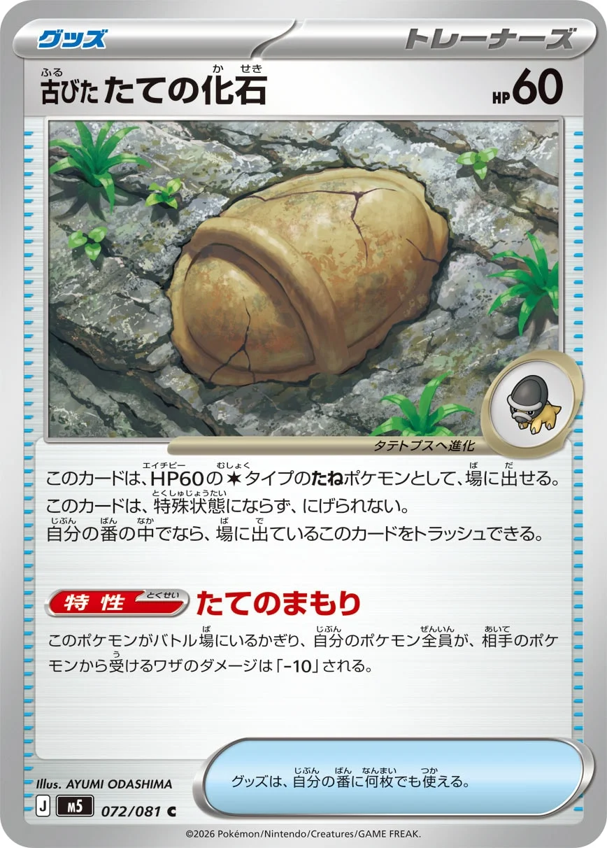 M5 - Fossile Armure Antique
