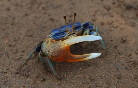 579772765f390bdb76ca9