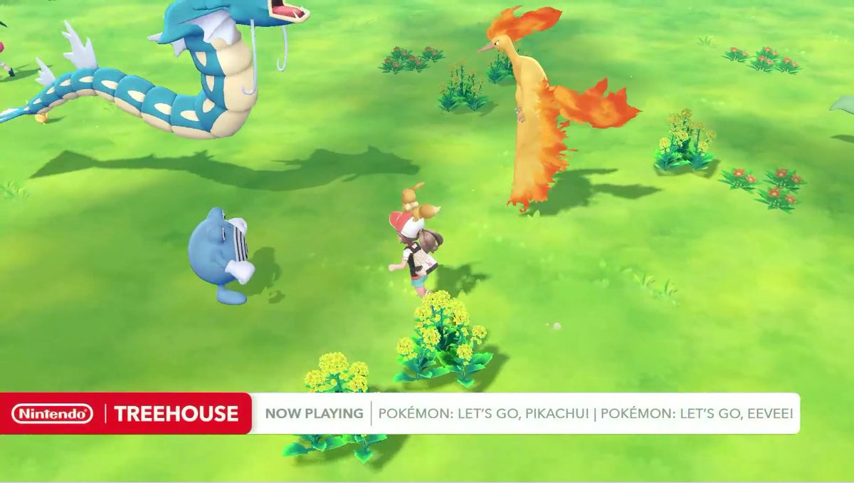 b9c0b6e5a36725f1736e65317d2ee30bcbac4df1