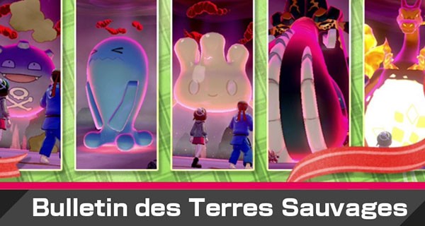 2666944160e7ffdb788a9