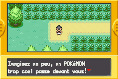 Pok&eacute;mon Vert Feuille & Rouge Feu