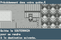 Pok&eacute;mon Vert Feuille & Rouge Feu