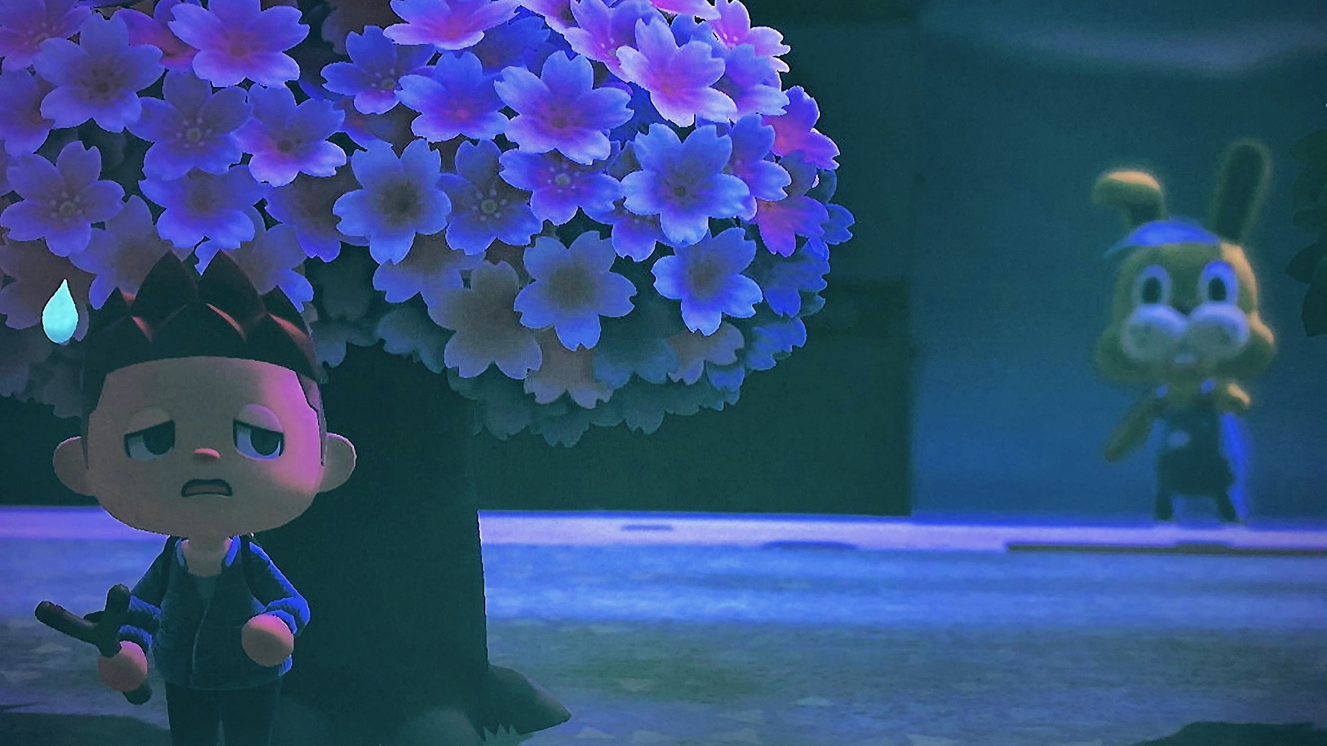 579756025e903249c441d