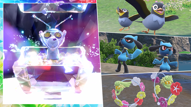 mordudor forme coffre zapétrel riolu guérilande écarlate violet