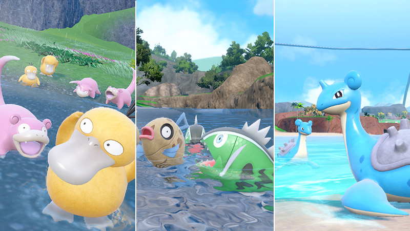 apparition massive pok&eacute;mon &eacute;carlate pok&eacute;mon violet Psykokwak, Ramoloss, Barpau, Bargantua (Motif Blanc), et Lokhlass