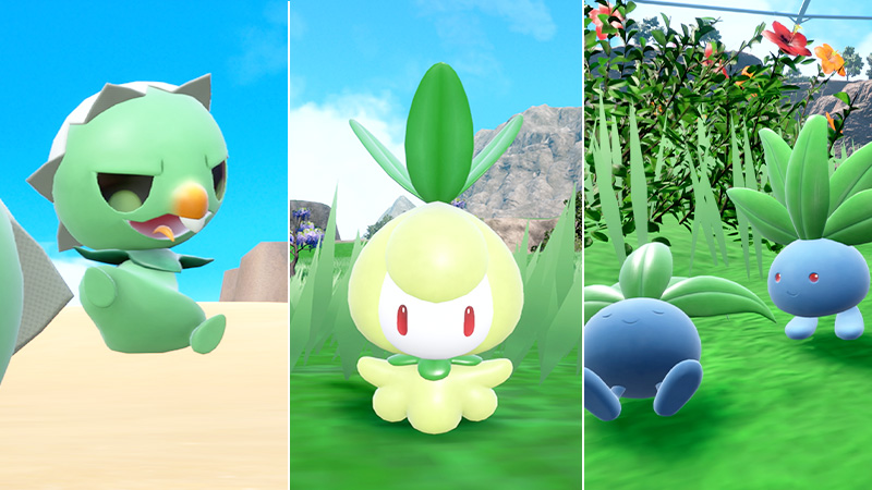 apparition massive pokémon écarlate pokémon violet pimito chlorobulle mystherbe