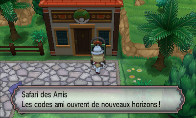 safari amis
