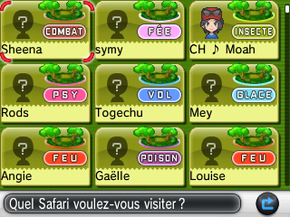 safari amis